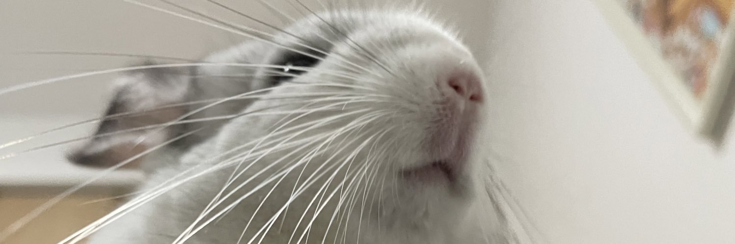 ( ・◇・)たけ banner