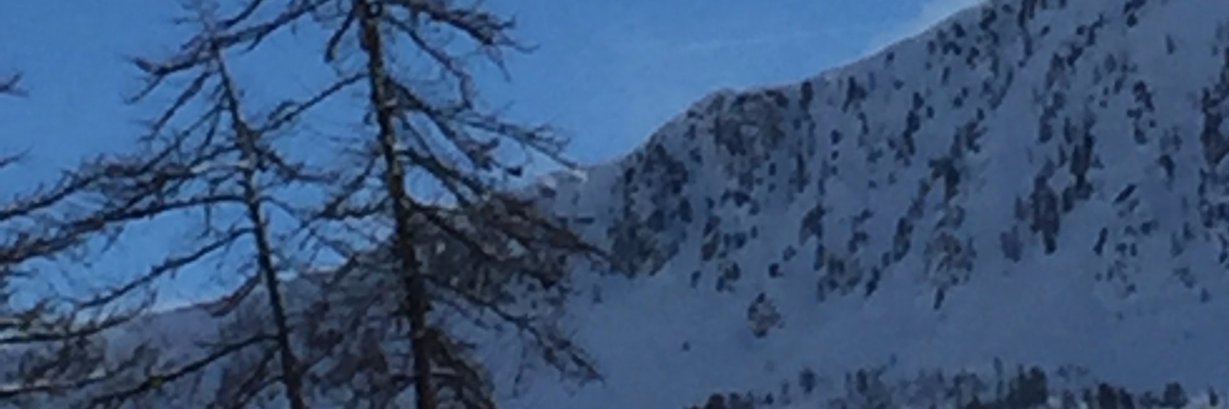 Charles Limouse banner