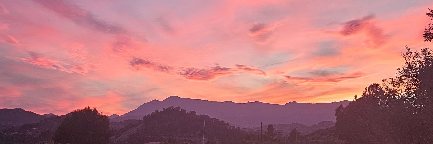 celiasn13's profile banner image