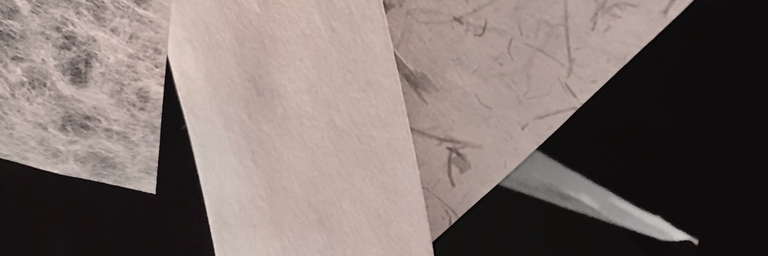 quelvannucci's profile banner image
