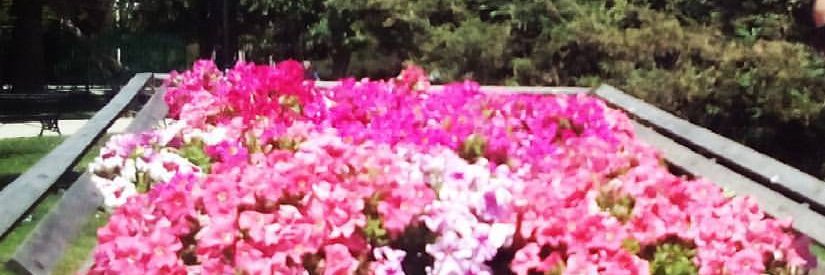 HeidyDuran's profile banner image