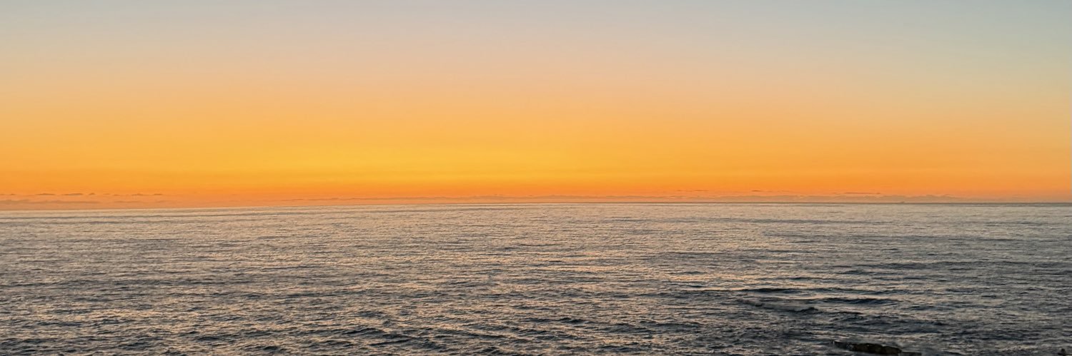 borredea's profile banner image