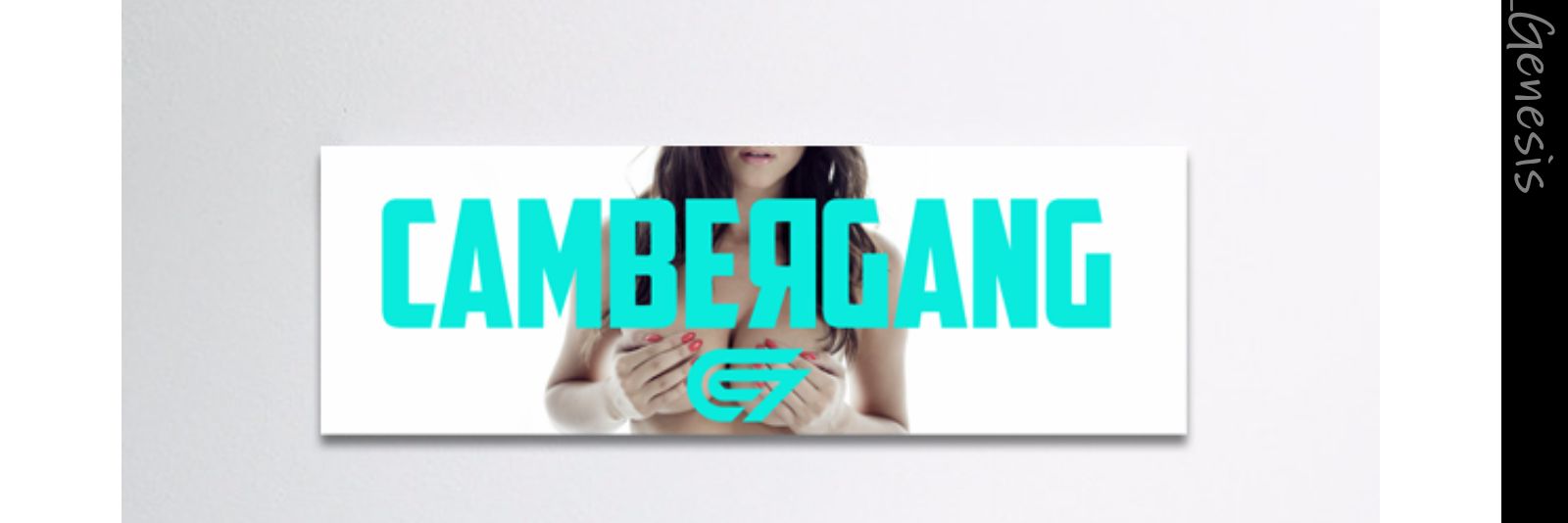 Kamo_Genesis's profile banner image