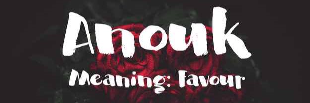 anouk_ilg's profile banner image