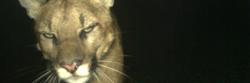 egyattraction's profile banner image