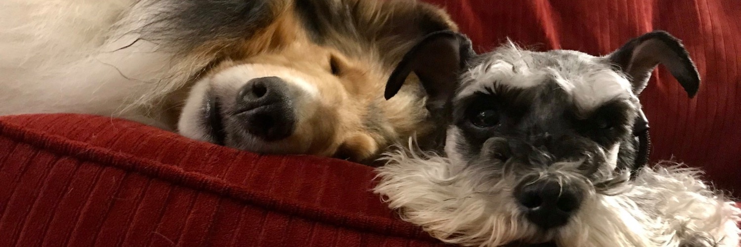 KeepCalmAndDrawl ☦️ banner