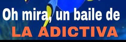animoreno14's profile banner image