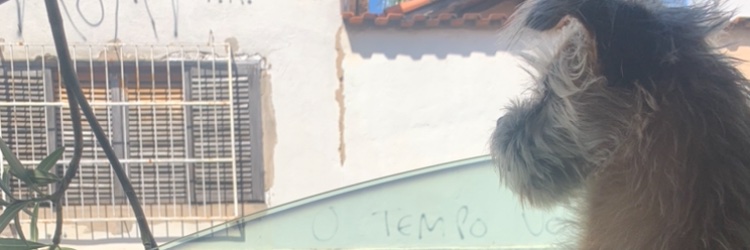 fers_'s profile banner image