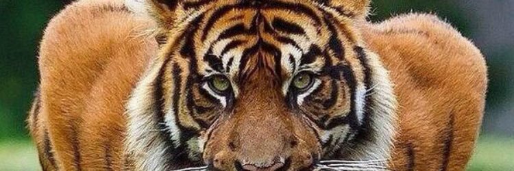 DannyCep1's profile banner image
