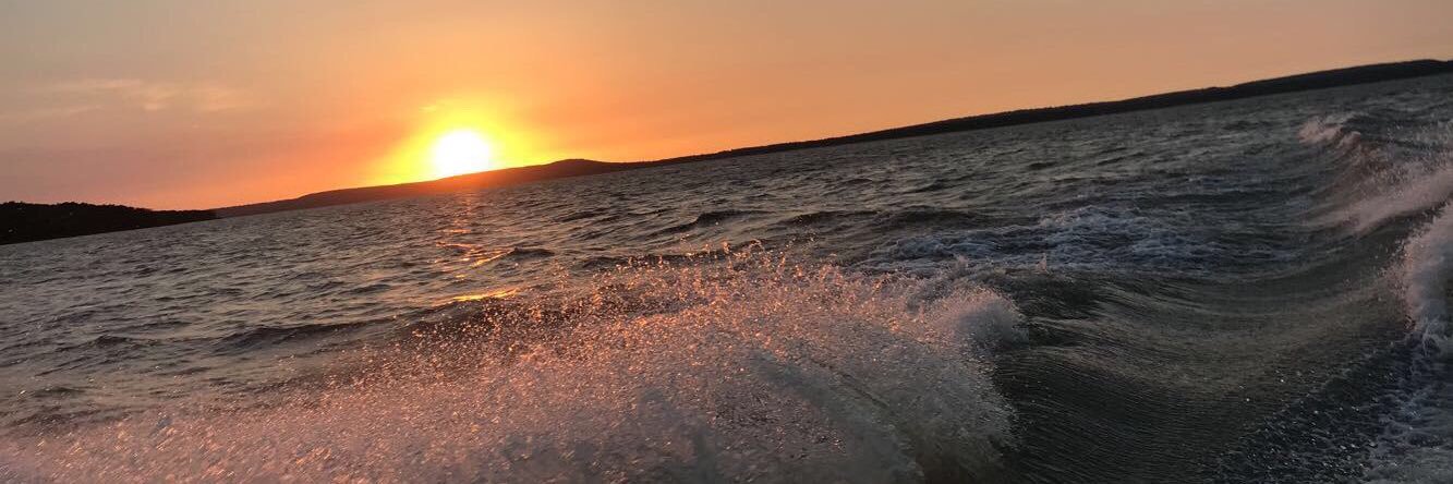 caleyyoung_'s profile banner image