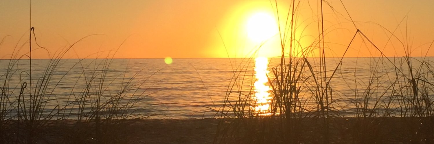 ThatSullyGirl's profile banner image
