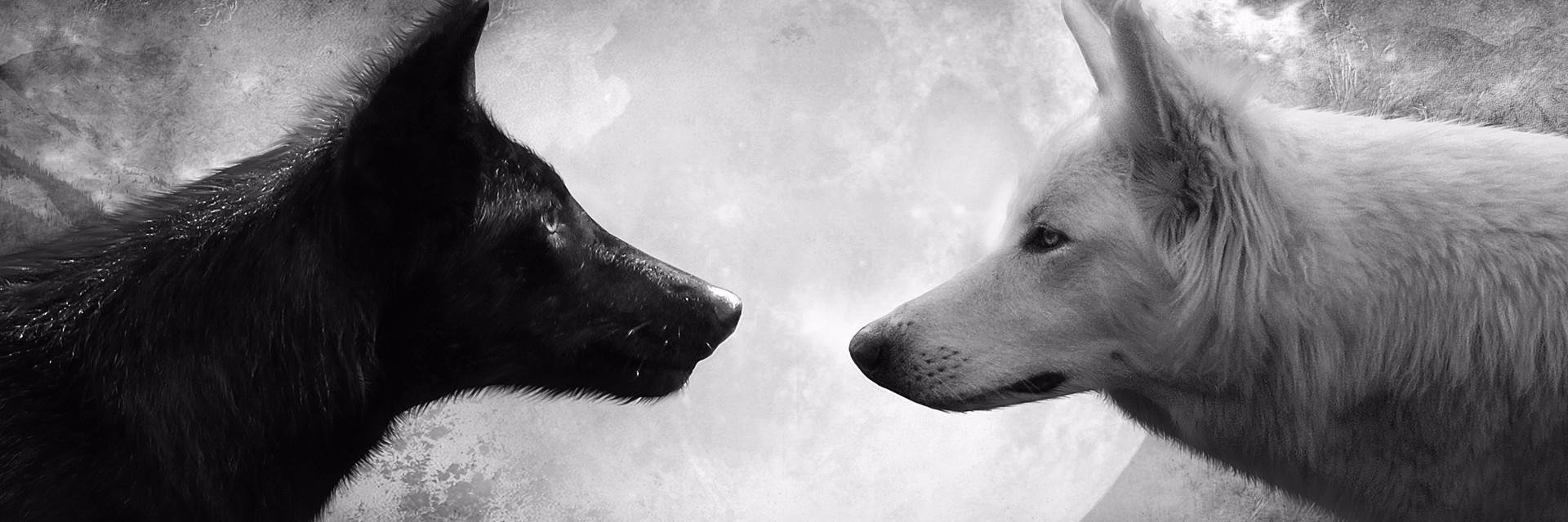 JeffSpiritWolf's profile banner image