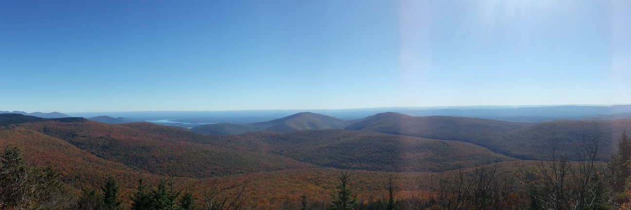 Christopher Higgins banner