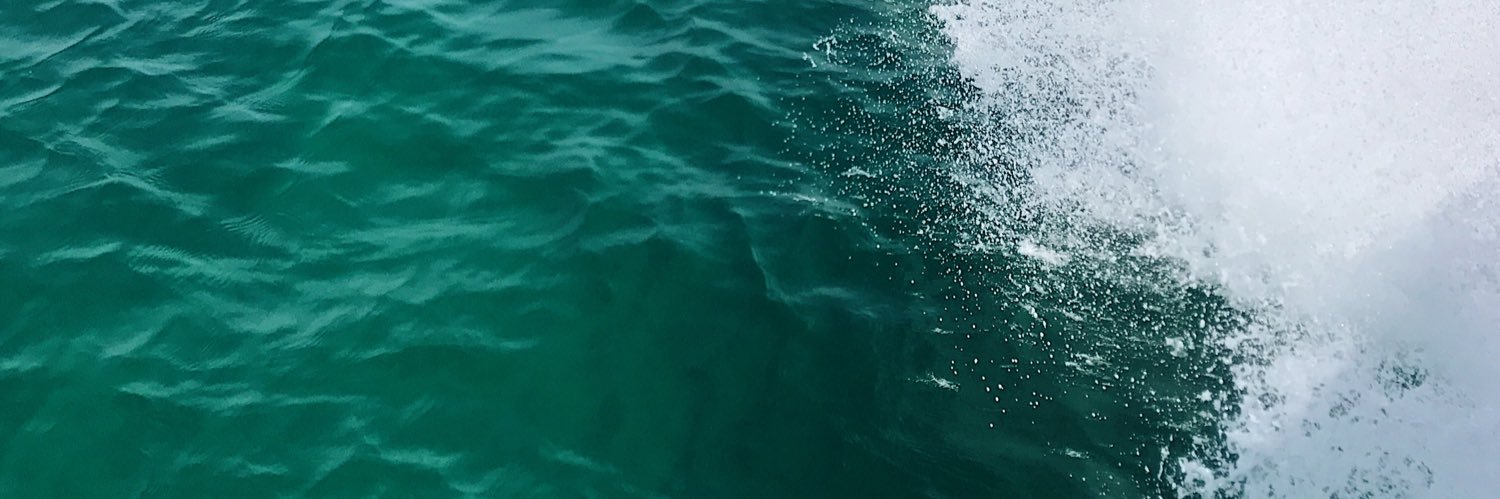 NikkaDuarte's profile banner image