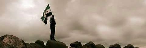 MahmoudOrg2's profile banner image