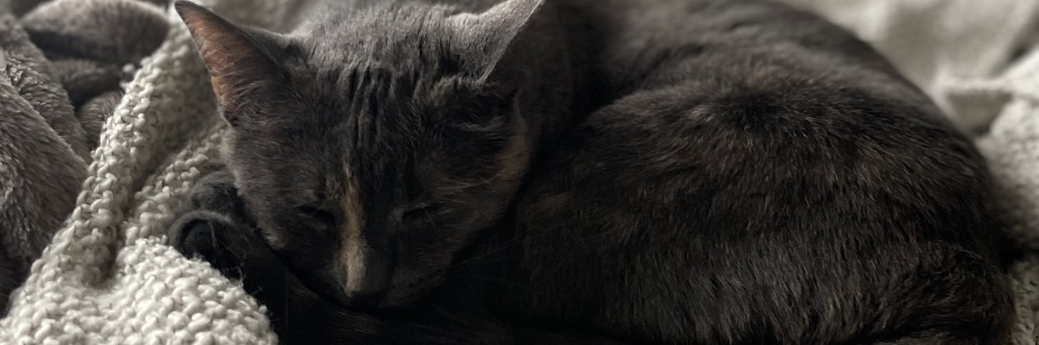 nicoleeaminaa's profile banner image