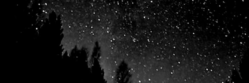Euphemistify's profile banner image