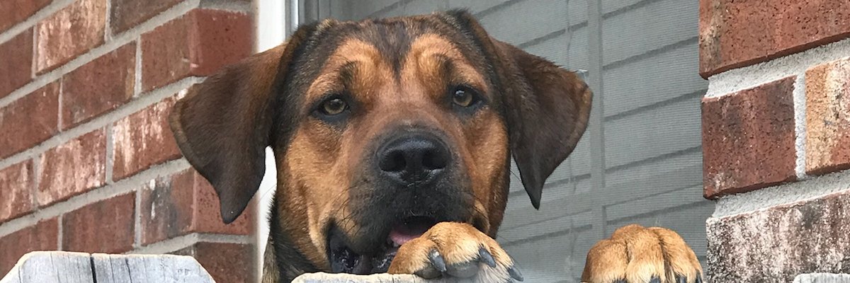 BSharp35's profile banner image