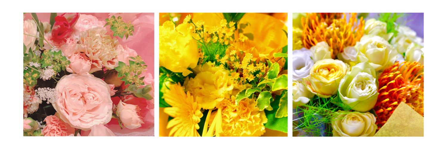 mamani_ma's profile banner image