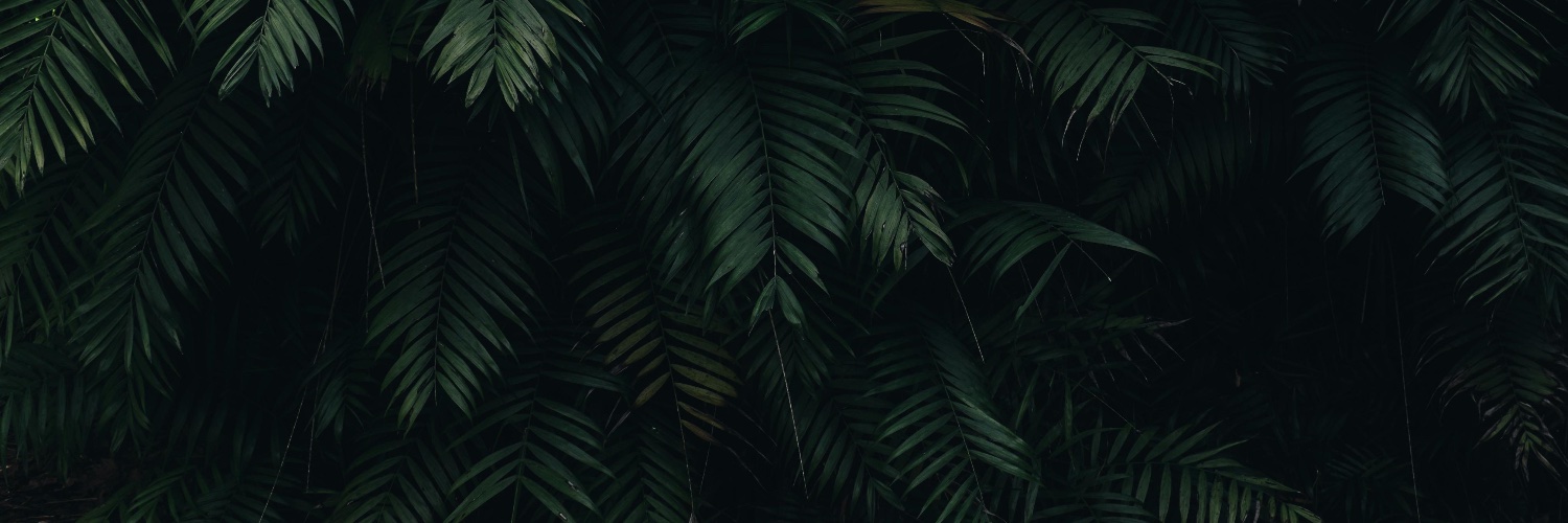 Dillon @ Aura banner