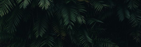 Dillon_Carter Profile Banner