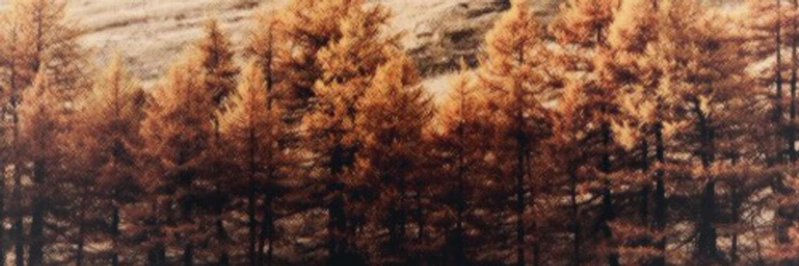 j_naialyn's profile banner image