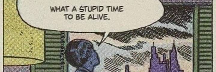 Paco Walks Softly banner