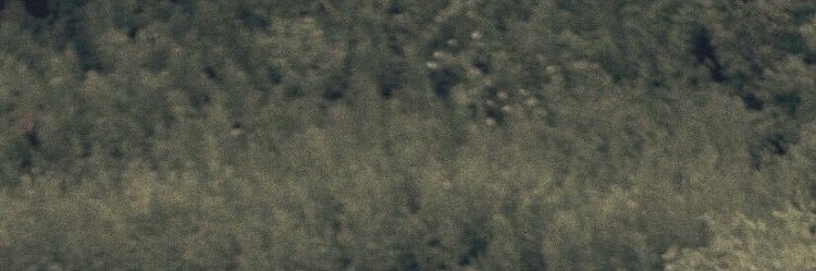 haroldmate's profile banner image
