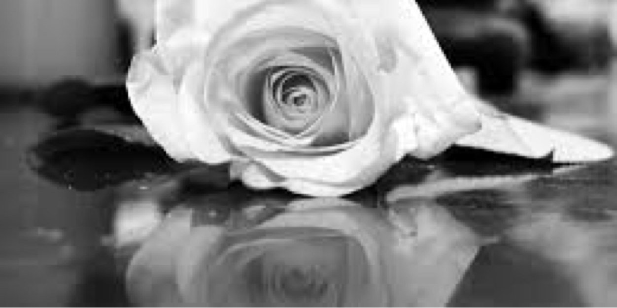 Shai20B's profile banner image