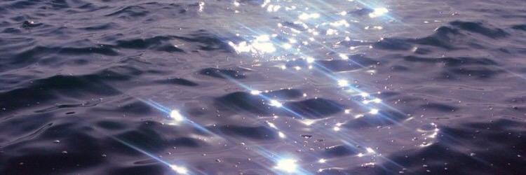 stephaniiec22's profile banner image