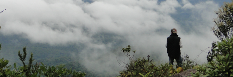 Mario A. Ávila banner