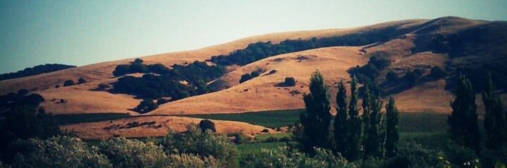 JulesWhiteway's profile banner image