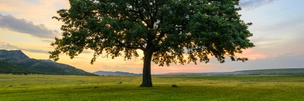 Oak Foundation Profile Banner