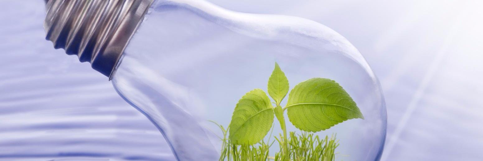 David Strifling banner