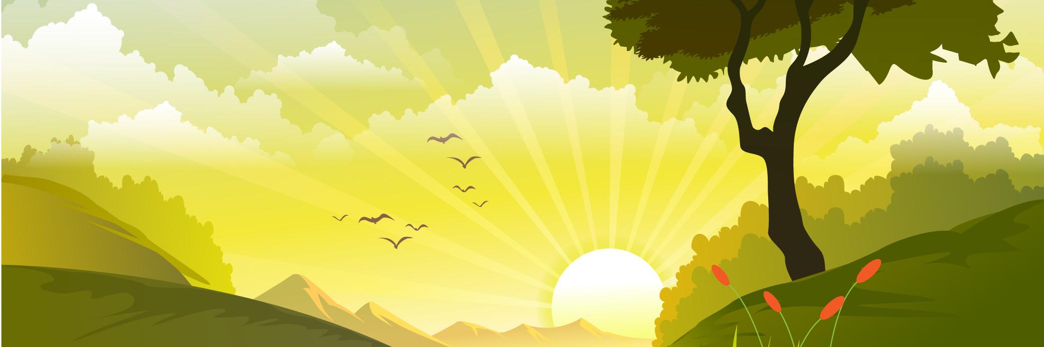 Birdmartin68's profile banner image