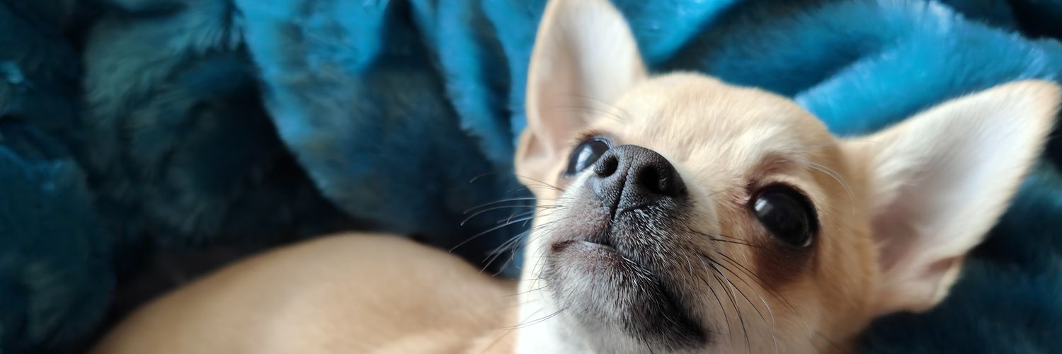 EvasiveSnail🚀 🌌 banner