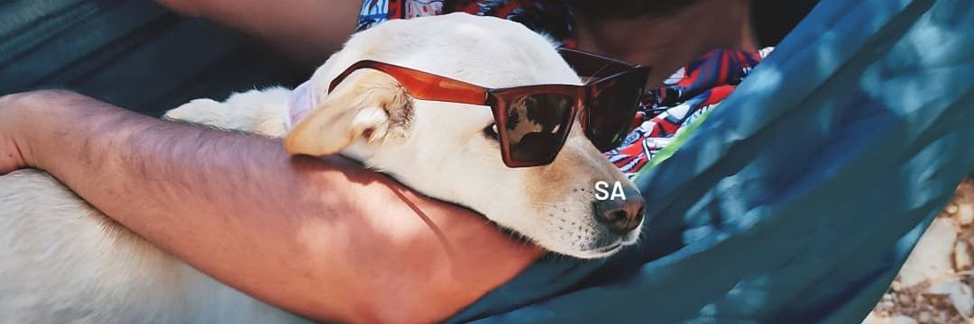 salbekanka's profile banner image