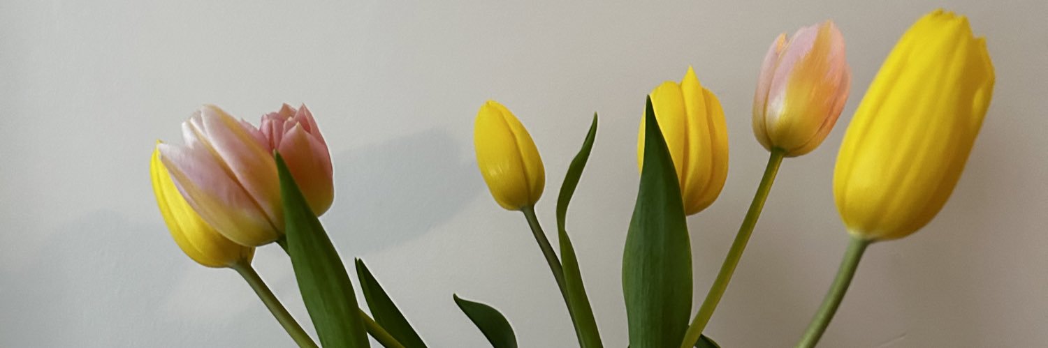 zil_hteips's profile banner image