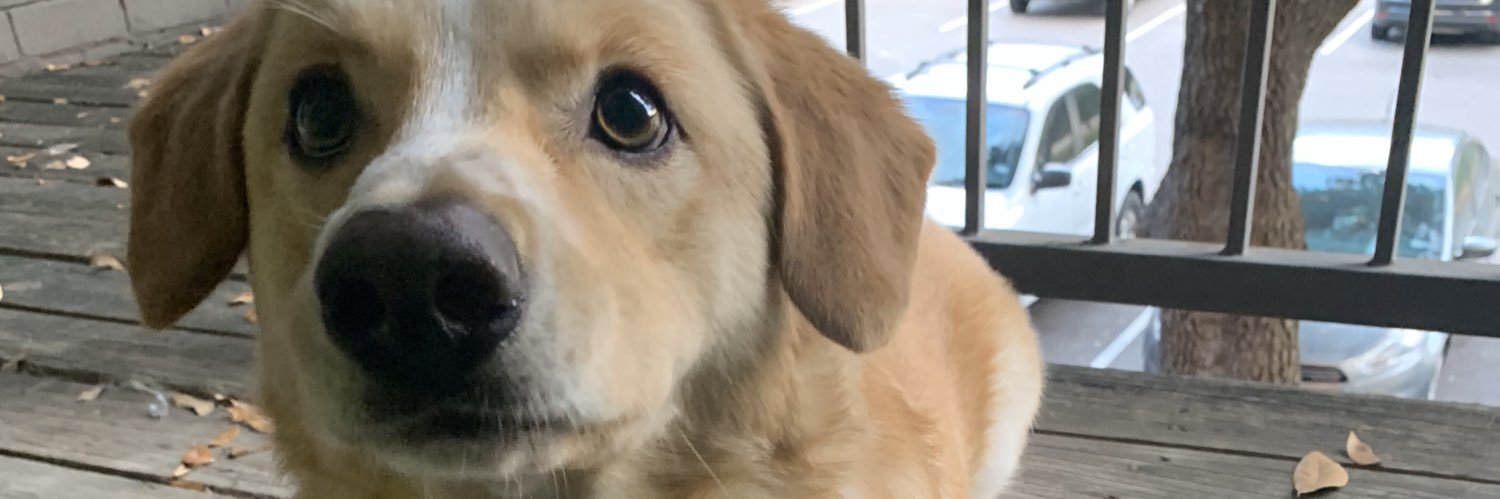 leslielight45's profile banner image