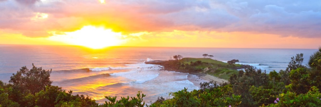 Andrew Hamilton banner