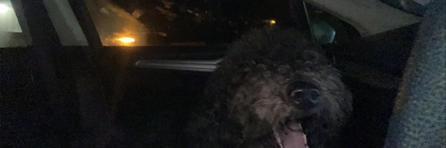 AlfredoCastane5's profile banner image