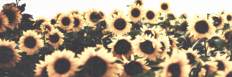 ShantelAmson's profile banner image