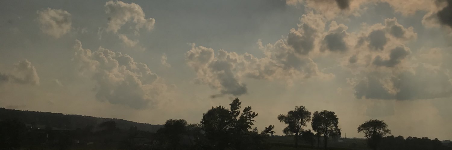 gingerjaundiced's profile banner image