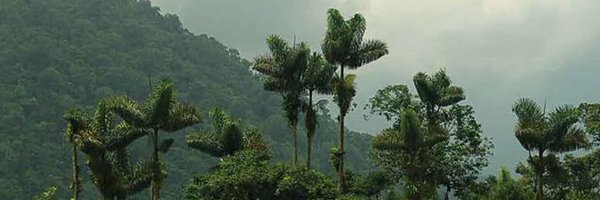 KUHoopes Profile Banner