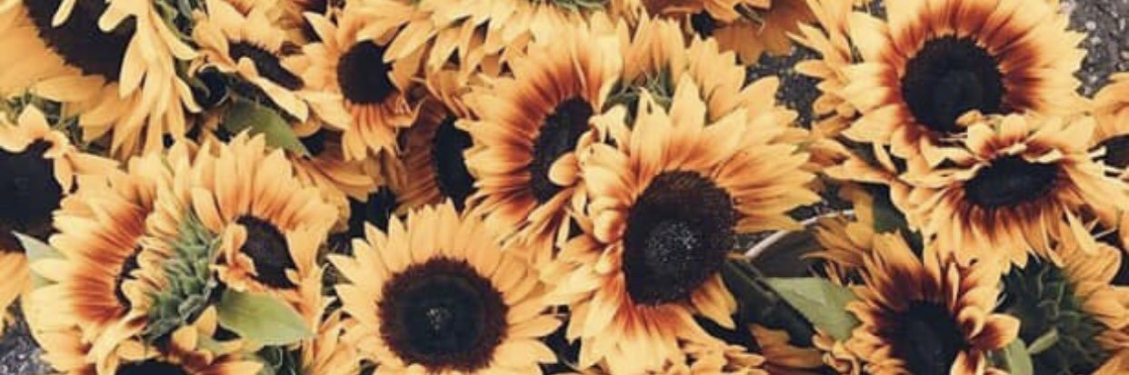 leahcreter's profile banner image