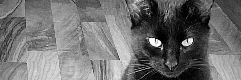 Maria_Mendez29's profile banner image