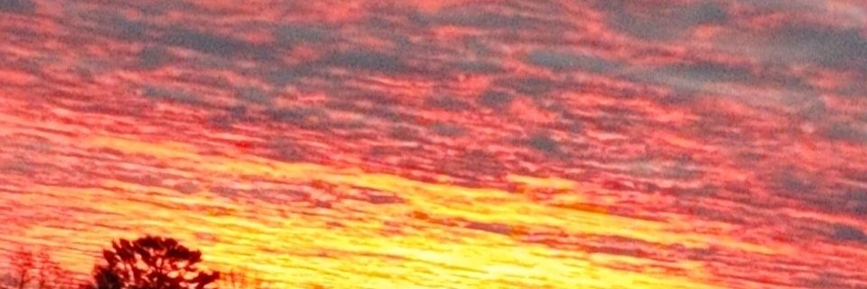 Como_Joe7's profile banner image