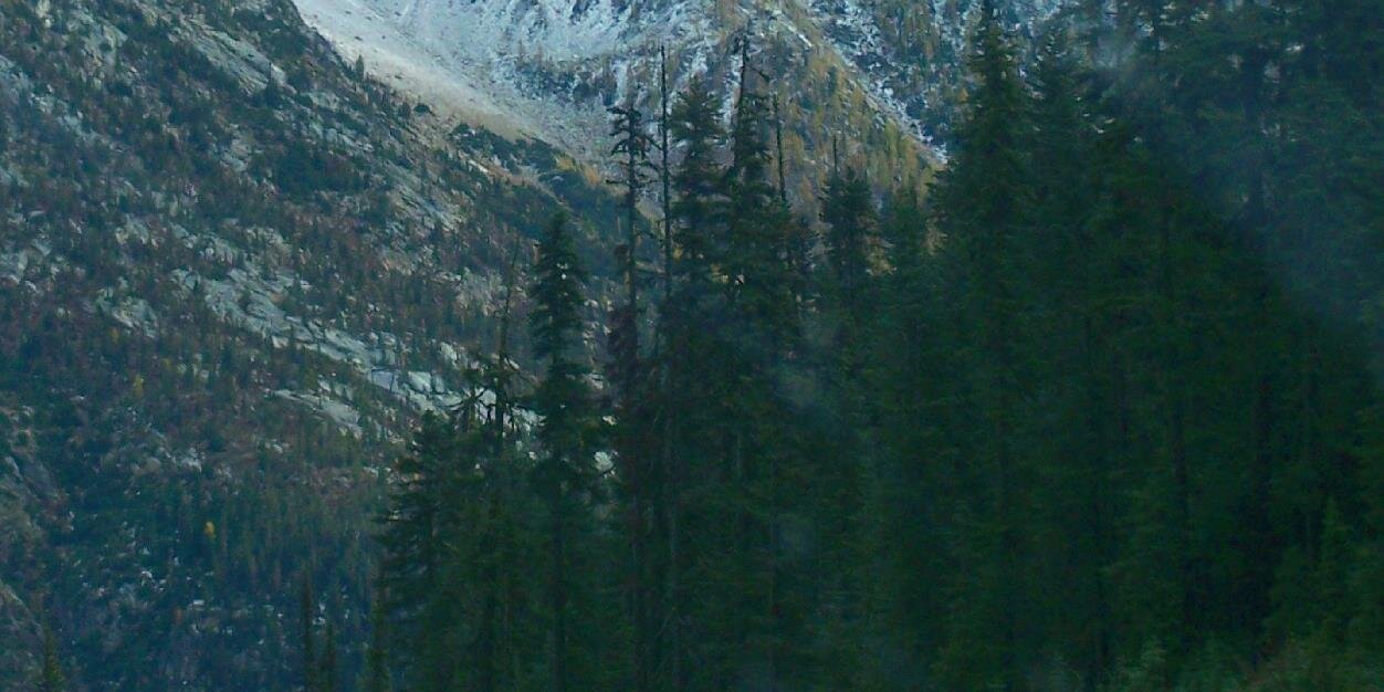 ConfliktFrog's profile banner image