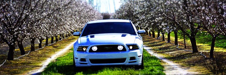 JegrajB's profile banner image