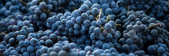 Farrell Resources banner